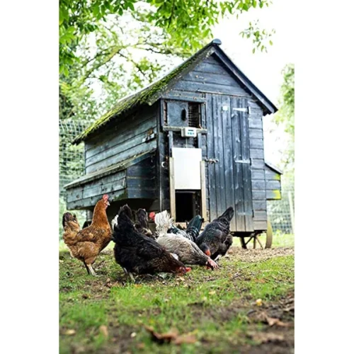 Automatische Hühnerklappe ChickenGuard