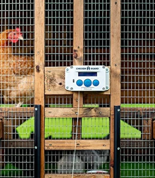chicken-guard-huehnerklappe-automatisch