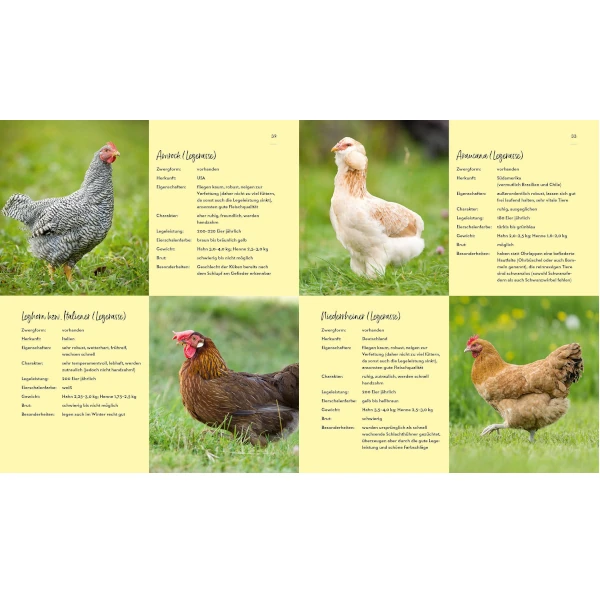Buch Hühner: Alles zur artgerechten Haltung, Pflege und Nachzucht