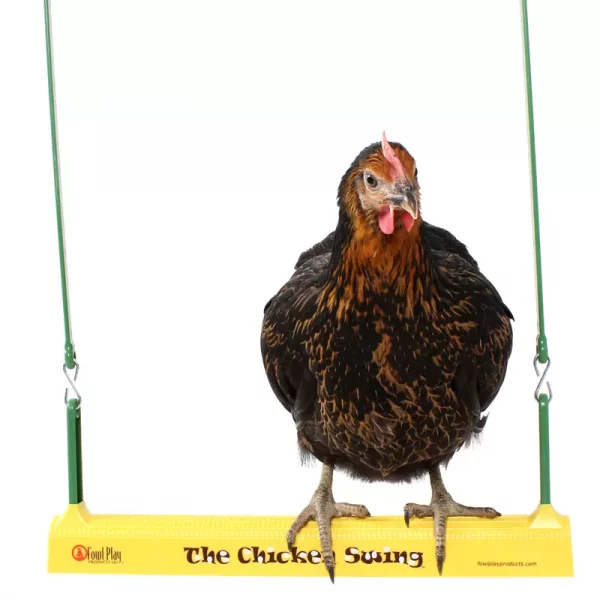 Hühnerschaukel 'Chicken Swing'