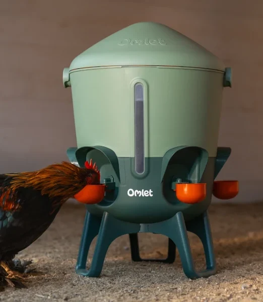 Isolierter Wasserspender für Hühner