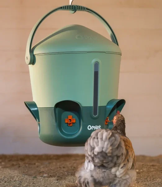 Isolierter Wasserspender für Hühner